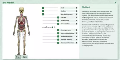 Vorschau - selbst erstellte Cliparts/Grafiken - Merkmale des menschlichen Körpers (interaktiv) - Seite 1