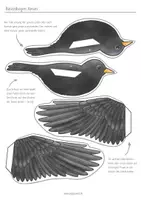 Vorschau - Mal- und Bastelvorlagen - Vögel im Winter Bastelbögen - Seite 3