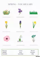 Vorschau - Arbeitsblätter - Vokabeln zum Thema Frühling // Spring Vocabulary - Seite 1