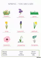 Vorschau - Arbeitsblätter - Vokabeln zum Thema Frühling // Spring Vocabulary - Seite 2