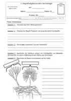 Vorschau - Test - Schimmelpilze Test - Leistungsnachweis - Deckblatt