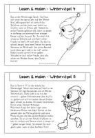 Vorschau - Arbeitsblätter - Lesen und malen "Wintervögel" - Winter - Seite 3
