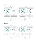 Vorschau - Arbeitsblätter - Broensted Grafik Mit Lösung - Seite 2