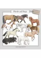 Vorschau - selbst erstellte Cliparts/Grafiken - Cliparts für Pferde, Reiten, Reittherapie: Pferde und Ponys - Seite 1