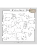 Vorschau - selbst erstellte Cliparts/Grafiken - Cliparts für Pferde, Reiten, Reittherapie: Pferde und Ponys - Seite 2
