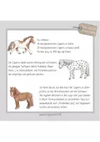 Vorschau - selbst erstellte Cliparts/Grafiken - Cliparts für Pferde, Reiten, Reittherapie: Pferde und Ponys - Seite 3