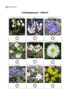 Vorschau - Spiele - Frühlingsblumen Bingo - Seite 2