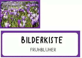 Vorschau - Poster - Bilderkiste Fotokarte Frühling Frühblüher - Seite 1