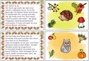 Vorschau - Fördermaterial/Inklusion - Lesen & merken Herbst 🍂 | Lesetraining & Leseverstehen | differenzierte Texte Klasse 2–3 - Seite 2