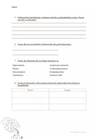 Vorschau - Arbeitsblätter - Industrialisierung Deutschland - PowerPoint und Arbeitsblätter - Seite 2