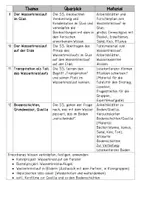 Vorschau - Arbeitsblätter - Zustandsformen von Wasser (Aggregatzustände) - Seite 3