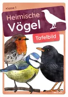 Vorschau - Präsentationen/Tafelbilder - Heimische Vögel Tafelmaterial Klasse 1/2 - Deckblatt