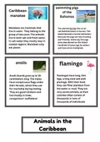 Vorschau - Bildkarten - Caribbean Infocards (famous people, plants, animals) - Seite 3