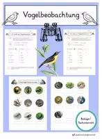 Vorschau - Arbeitsblätter - Vogelbeobachtung- Gartenvögel Arbeitsblatt - Deckblatt