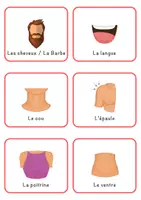 Aperçu - Cartes / Images - Cartes éclair: Les parties du corps (36 Cartes) - Page 2