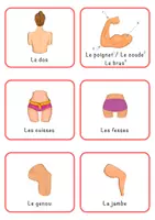 Aperçu - Cartes / Images - Cartes éclair: Les parties du corps (36 Cartes) - Page 3