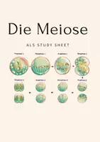 Vorschau - Arbeitsblätter - Die Meiose als Study Sheet - Deckblatt