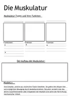 Vorschau - Arbeitsblätter - Arbeitsblatt Merkblatt Muskulatur des Menschen - Seite 1