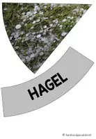 Vorschau - Poster - WETTER Legekreis zum Niederschlag - Seite 3