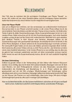 Vorschau - Stundenentwürfe - Arbeitsheft: Gewalt (Stationenlernen entsprechend des Lehrplans) - Seite 2