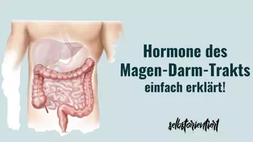 Vorschau - Präsentationen/Tafelbilder - Hormone des Magen-Darm-Traktes - Texte & Lernkarten für Biologie - Deckblatt