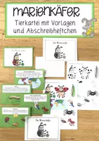 Vorschau - Stundenentwürfe - Tierkartei mit Abschreibheftchen - MARIENKÄFER - Deckblatt
