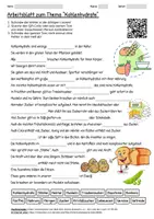Vorschau - Arbeitsblätter - Lernposter + Arbeitsblatt "Kohlenhydrate" + Onlineübung & MP3 + Mindmap + Infografik - Seite 1