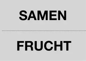 Vorschau - Stundenentwürfe - Früchte / Samenverbreitung und Bionik - Seite 3