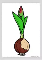 Vorschau - Arbeitsblätter - XXL Materialpaket Frühling Tulpe Frühblüher - Seite 3