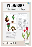 Vorschau - Arbeitsblätter - Tafelmaterial Tulpe Tulpenjahr Beschriftung - Deckblatt