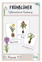Vorschau - Mal- und Bastelvorlagen - Tafelmaterial Frühblüher Karten Aushang Frühling - Deckblatt