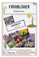 Vorschau - Poster - Bilderkiste Fotokarte Frühling Frühblüher - Deckblatt