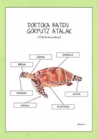 Aperçu - Feuilles d'exercices - Dortoka baten gorputz atalak -POSTERRA - EUSKARAZ. - Page 1