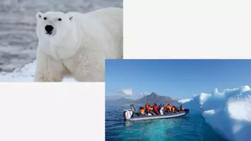 Vorschau - Arbeitsblätter - Arktis - Klimaerwärmung - Klimawandel - Folgen - Seite 1