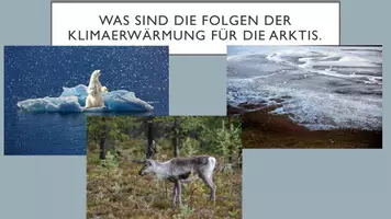 Vorschau - Arbeitsblätter - Arktis - Klimaerwärmung - Klimawandel - Folgen - Seite 3