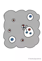 Vorschau - Poster - WETTER Tafelmaterial ur Gewitterwolke - Seite 2