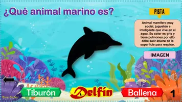 Vista previa - Juegos / Gamificación - Juego: Los Animales Marinos (Plantilla de 30 preguntas) - página 2