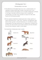 Vorschau - Unterrichtsreihen - Pferdesprache Teil 2 - Material für Reittherapie und Reitpädagogik - Seite 2