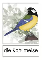 Vorschau - Präsentationen/Tafelbilder - Kohlmeise - Tafelmaterial - Seite 2