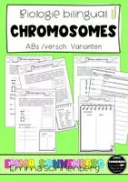 Vorschau - Stundenentwürfe - Materialpaket XL - BILINGUAL - Mendel's Laws and Chromosomes - Seite 1