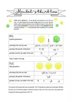 Vorschau - Arbeitsblätter - Biology bilingual - Mendel's third law - Seite 1