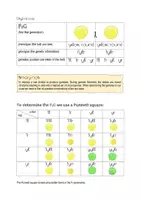 Vorschau - Arbeitsblätter - Biology bilingual - Mendel's third law - Seite 2