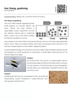 Vorschau - Arbeitsblätter - Fest, flüssig und gasförmig - Infotext und Übungen - Deckblatt