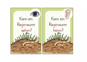 Vorschau - Stationenlernen - Der Regenwurm (Stationsschilder + Reihentransparenz) - Seite 3