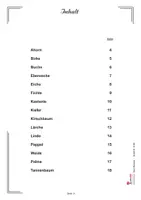 Vorschau - Arbeitsblätter - Baum-Mandalas Blattform Umriss Früchte Blüten | Sachunterricht Kunst Vorschule + Grundschule Klasse 1-4 | Bäume, Mandalas, Heimatkunde, Baumarten, Konzentration, Wald, Naturkunde - Seite 2