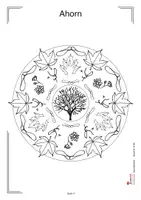 Vorschau - Arbeitsblätter - Baum-Mandalas Blattform Umriss Früchte Blüten | Sachunterricht Kunst Vorschule + Grundschule Klasse 1-4 | Bäume, Mandalas, Heimatkunde, Baumarten, Konzentration, Wald, Naturkunde - Seite 3