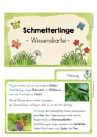 Vorschau - Bildkarten - Schmetterlinge (Wissenskartei) - Seite 3
