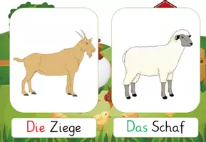 Vorschau - Poster - Tiere Themenpaket - Seite 3