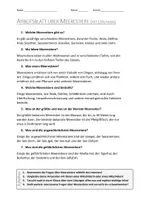 Vorschau - Arbeitsblätter - AB mit Fragen zum Thema "Meerestiere" + Lösungsblatt + Infografik - Seite 2