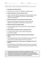 Vorschau - Arbeitsblätter - AB mit Fragen zum Thema "Indischer Ozean" + Lösungsblatt + Infografik - Seite 2